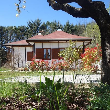 B&B The Lodge Ποτέντσα Εξωτερικό φωτογραφία