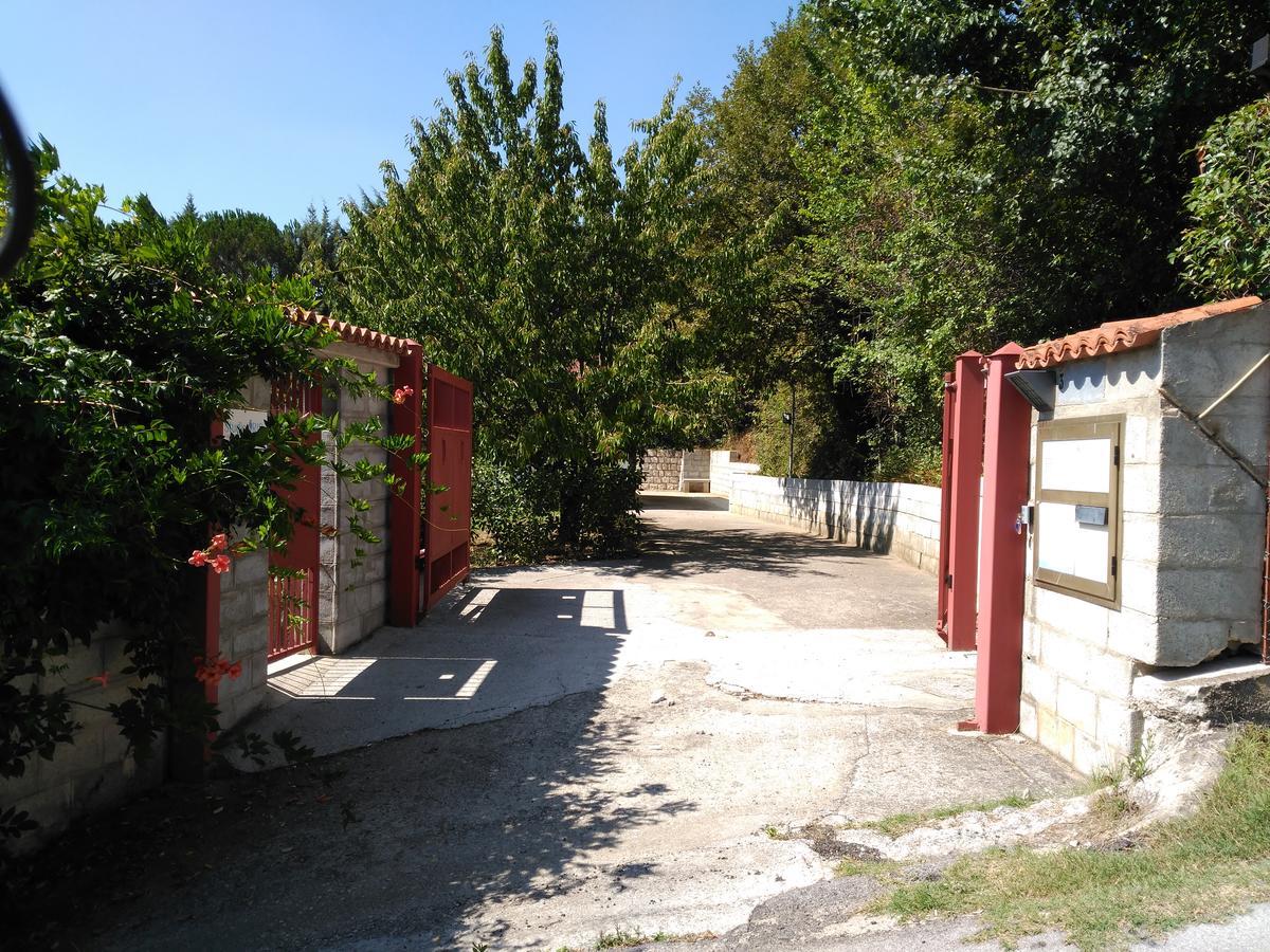 B&B The Lodge Ποτέντσα Εξωτερικό φωτογραφία