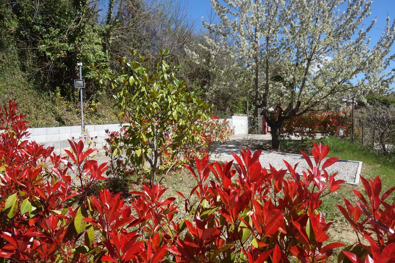 B&B The Lodge Ποτέντσα Εξωτερικό φωτογραφία