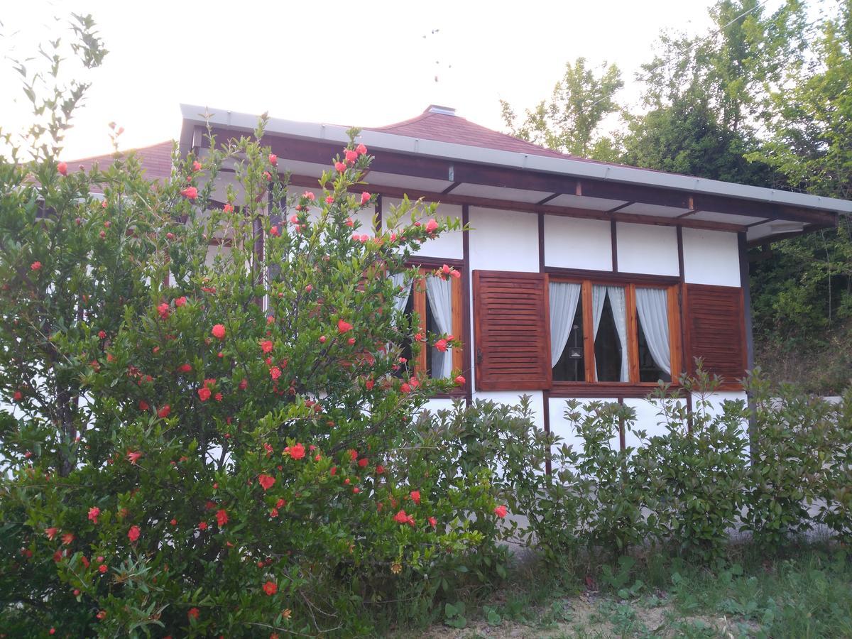 B&B The Lodge Ποτέντσα Εξωτερικό φωτογραφία